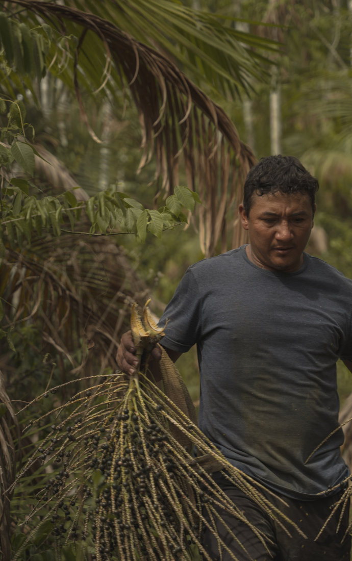 Untitled (690 x 1100 px) (11)