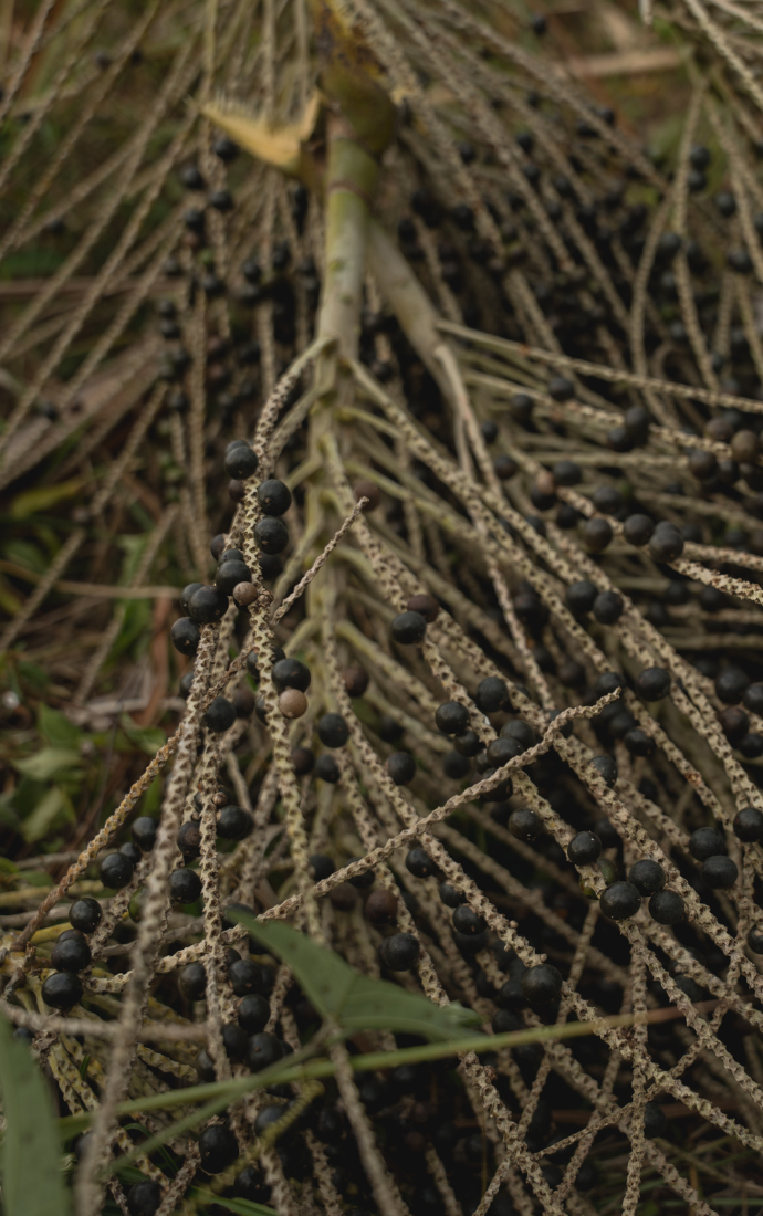 Untitled (690 x 1100 px) (8)