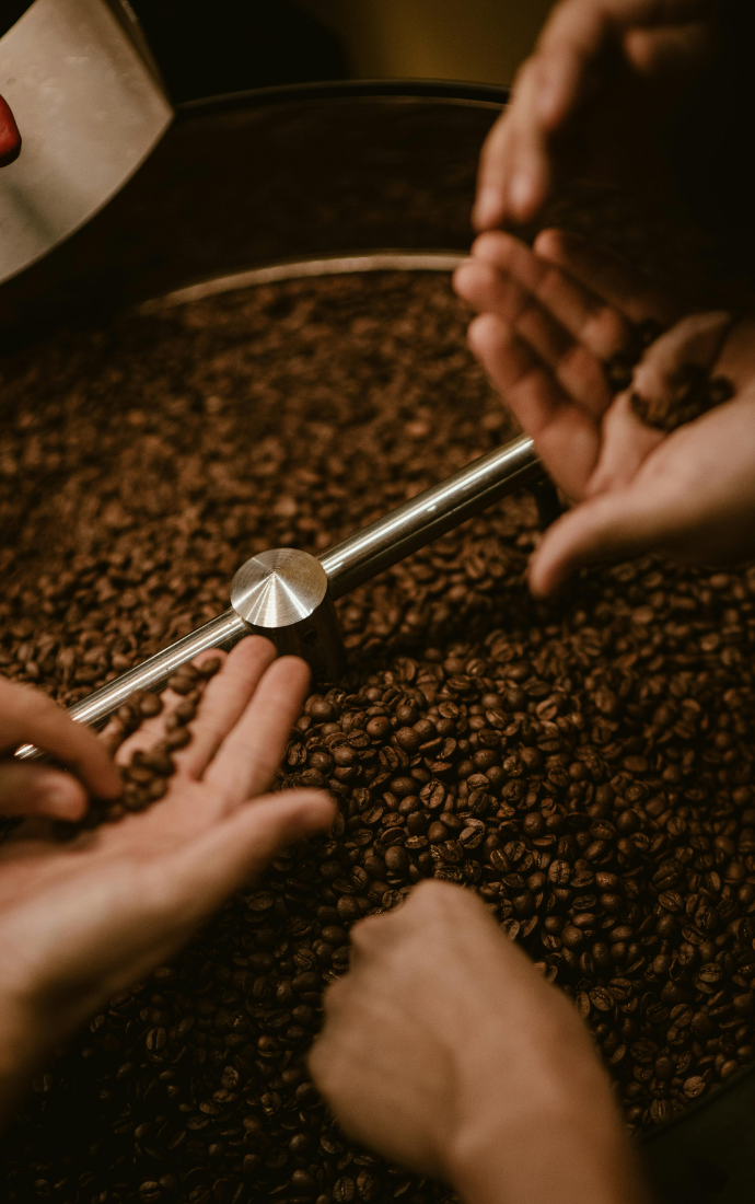 Untitled design - 2025-11-28T030409.209